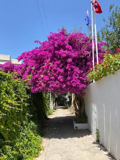 מלון Kavala *