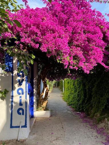 Готель Kavala